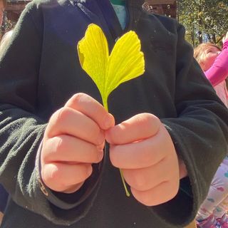 stannesdayschool