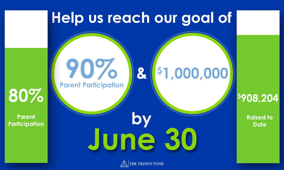 Annual Fund Infographics