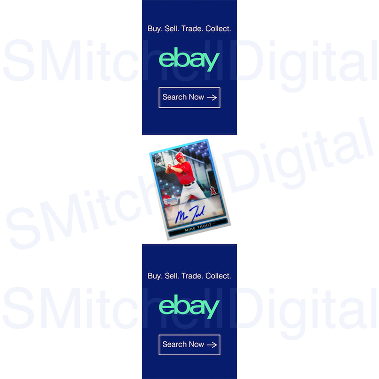 screenshot of ebay website vertical banner