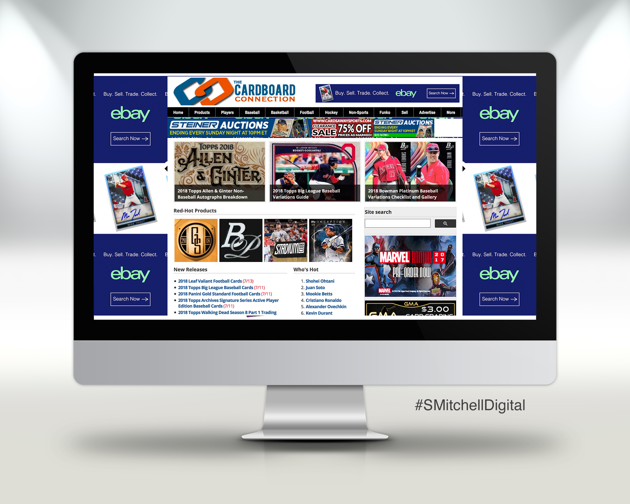 screenshot of website displaying ebay banners