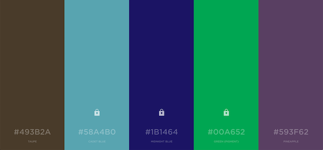 5 colors side by side as a color palette