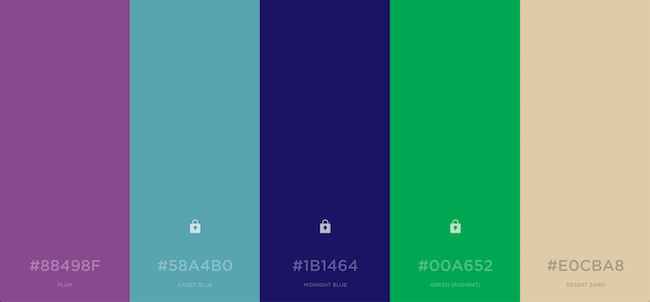 5 colors side by side as a color palette
